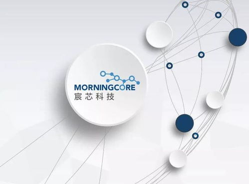 西海岸數(shù)字經(jīng)濟(jì)產(chǎn)業(yè)新篇章 300余家企業(yè)匯聚，技術(shù)開發(fā)引領(lǐng)未來